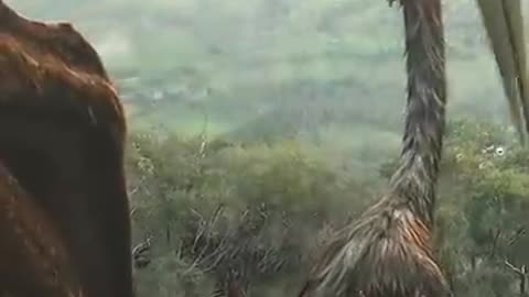 Top 5 astonishing moments that humans didn't knew