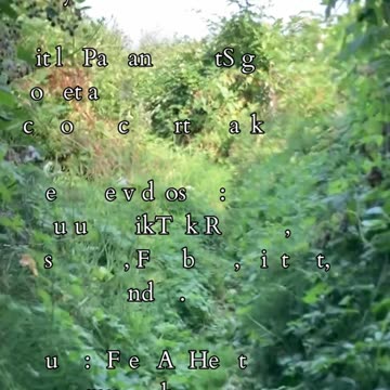 Destiny In Motion | Path and Tarot Reading