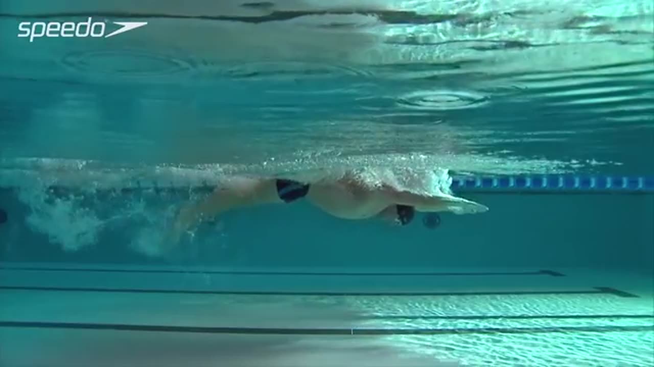 Butterfly Swimming Technique | Stroke