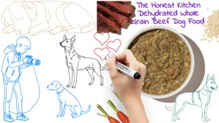 The Honest Kitchen Dehydrated Whole Grain Beef Dog Food