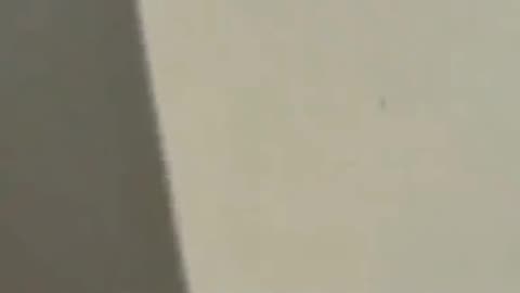 The country of Palestine