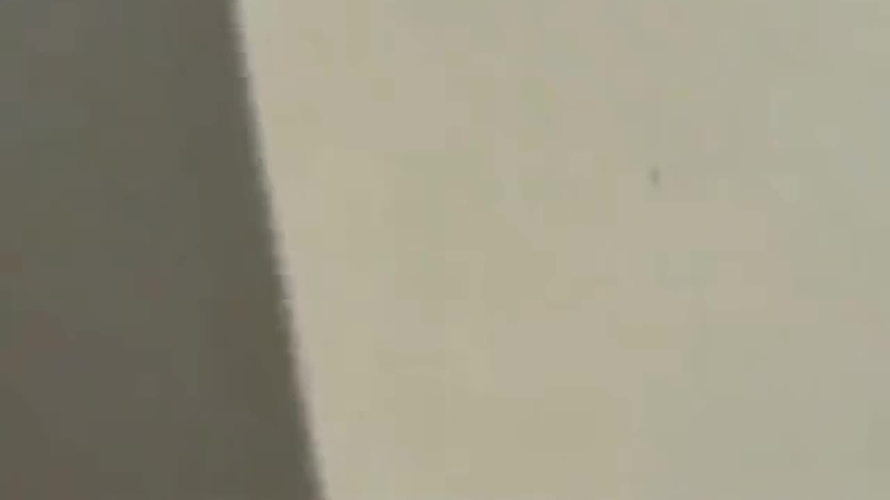 The country of Palestine