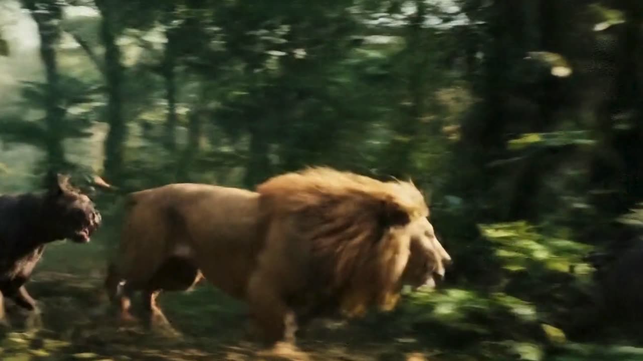 Dogs Running Fearlessly with Lions | Wild Friendship