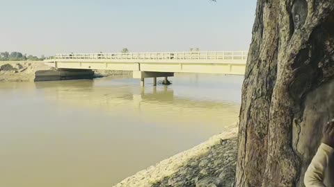 My Village in sindh ❤ #maxrecords #larkana #sindh #pakistan