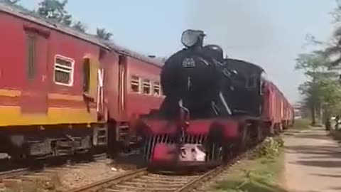 Train Race....