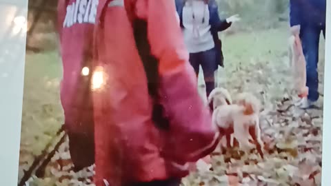 My self appointed gp with his nurses playing on the dead