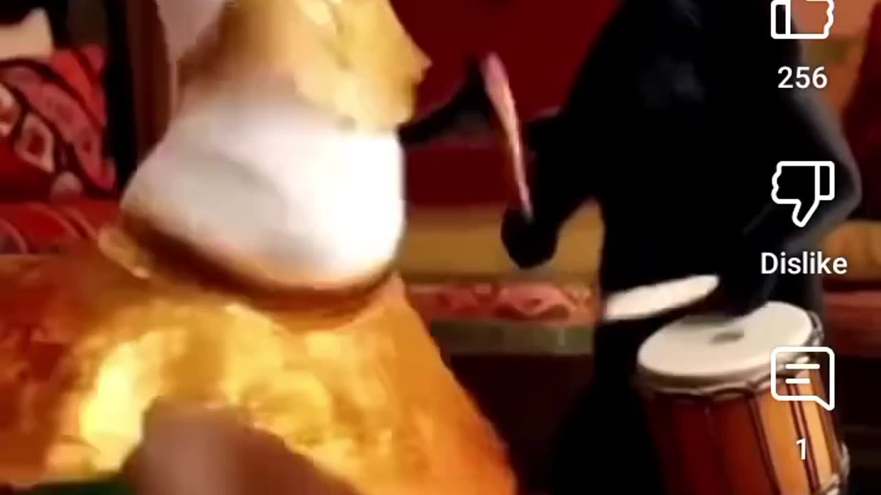 Funny dance video