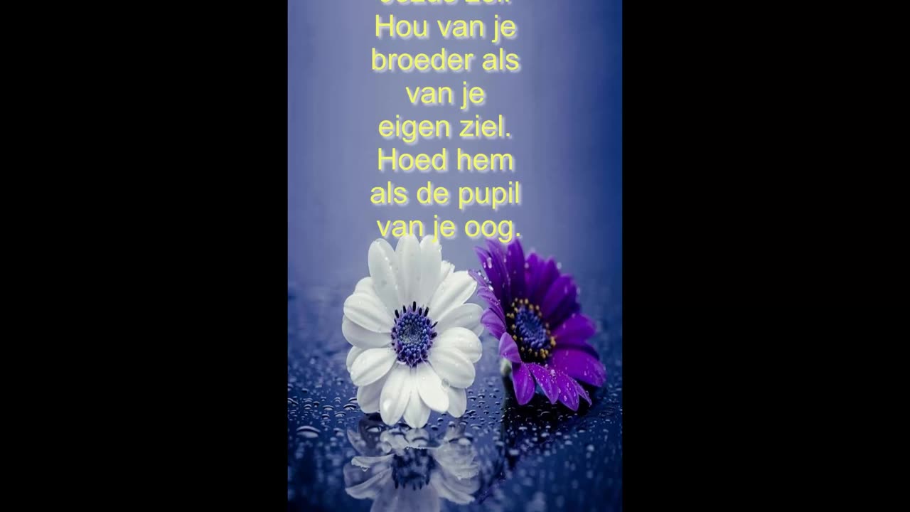 Houd van je broeder