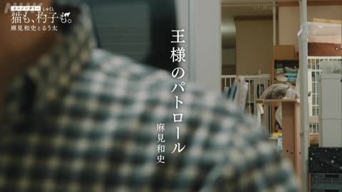 ネコメンタリー 猫も、杓子も。 麻見和史とるう太