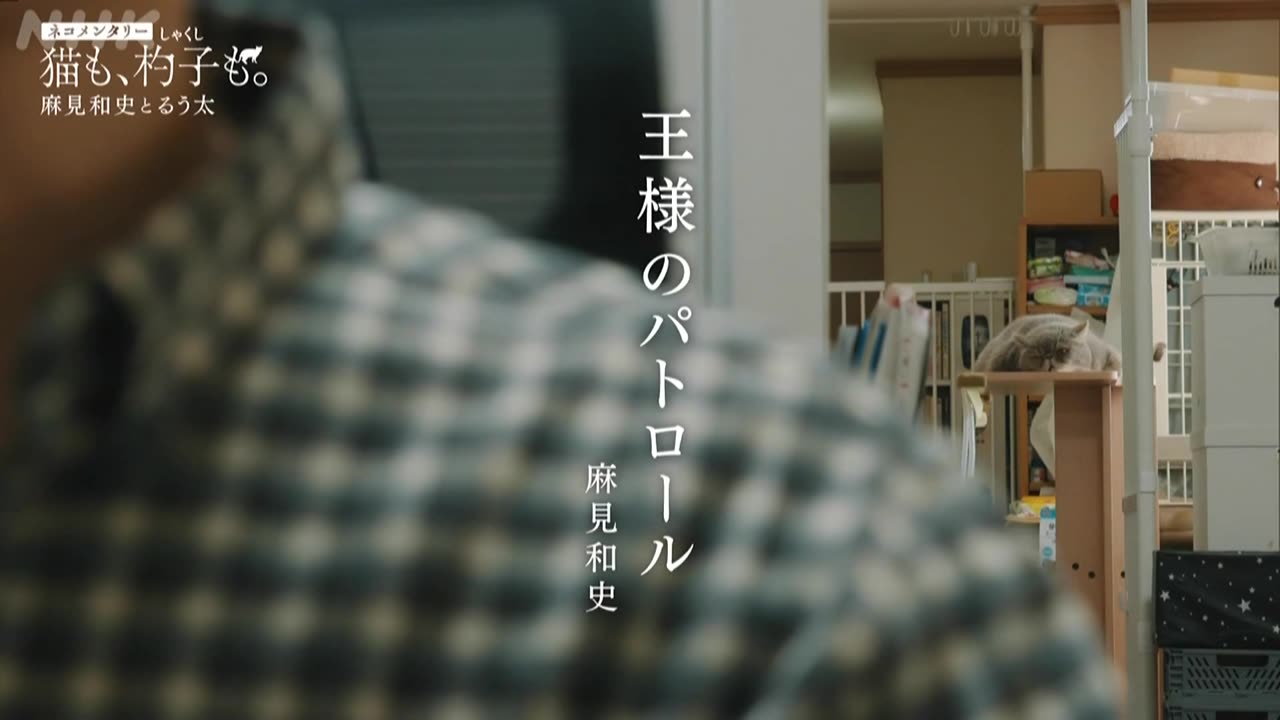 ネコメンタリー 猫も、杓子も。 麻見和史とるう太
