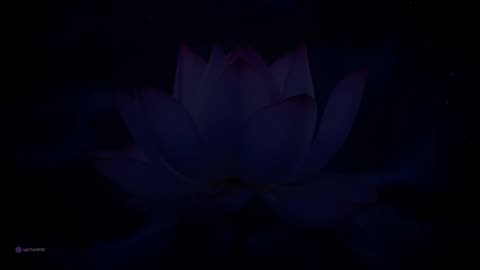 “8 Hours of Healing Music for Sleep, Relaxation, and Concentration