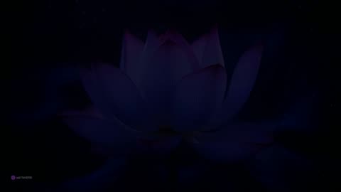 “8 Hours of Healing Music for Sleep, Relaxation, and Concentration