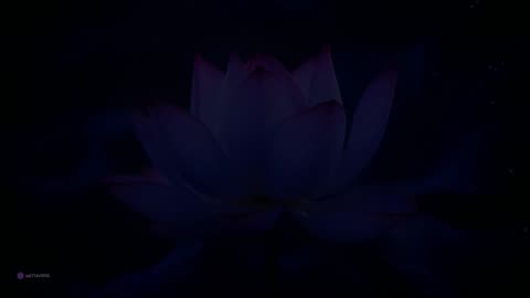 “8 Hours of Healing Music for Sleep, Relaxation, and Concentration