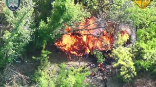 Multiple APCs and More Are Found Hidden in the Forest