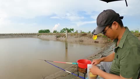 Shad Follows the Rivers Flow