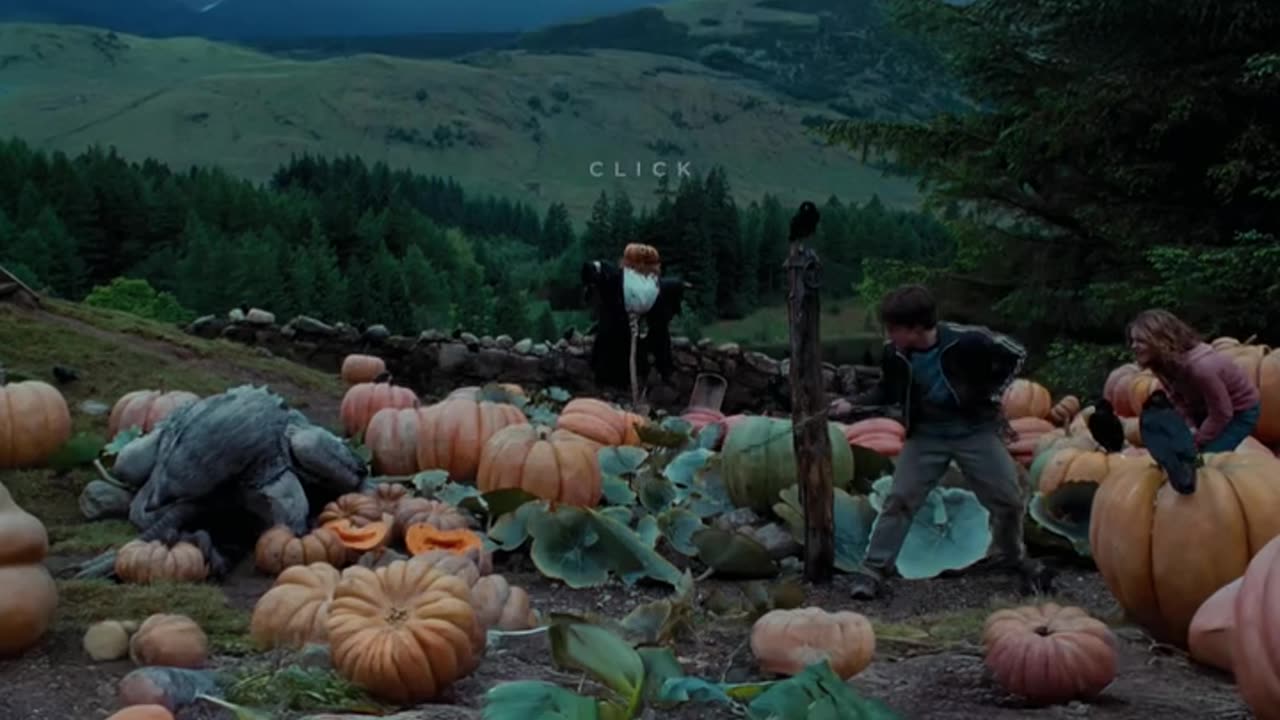Harry potter | cool video