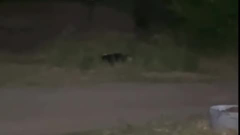 😨💀 They Thought They Were Alone... Until This Happened! | TheHauntingHour