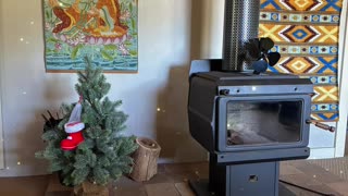 Xmas Tree Up - Happy Holy Days to All