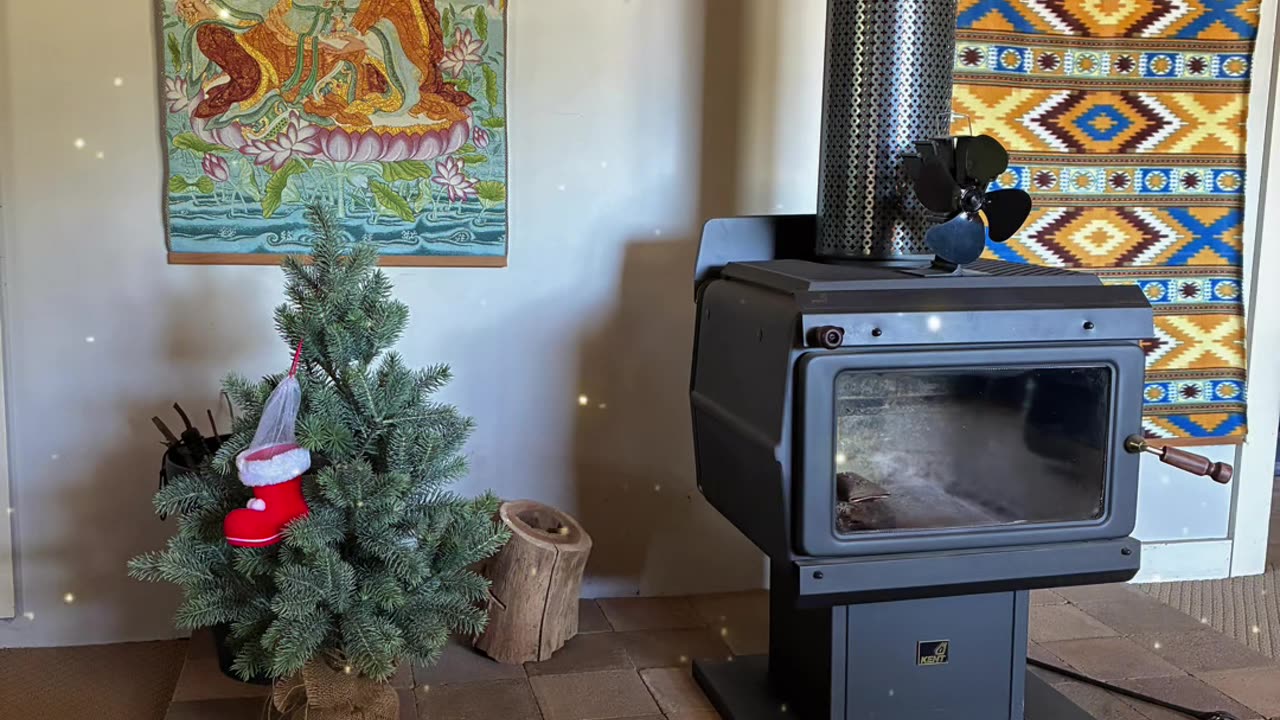 Xmas Tree Up - Happy Holy Days to All