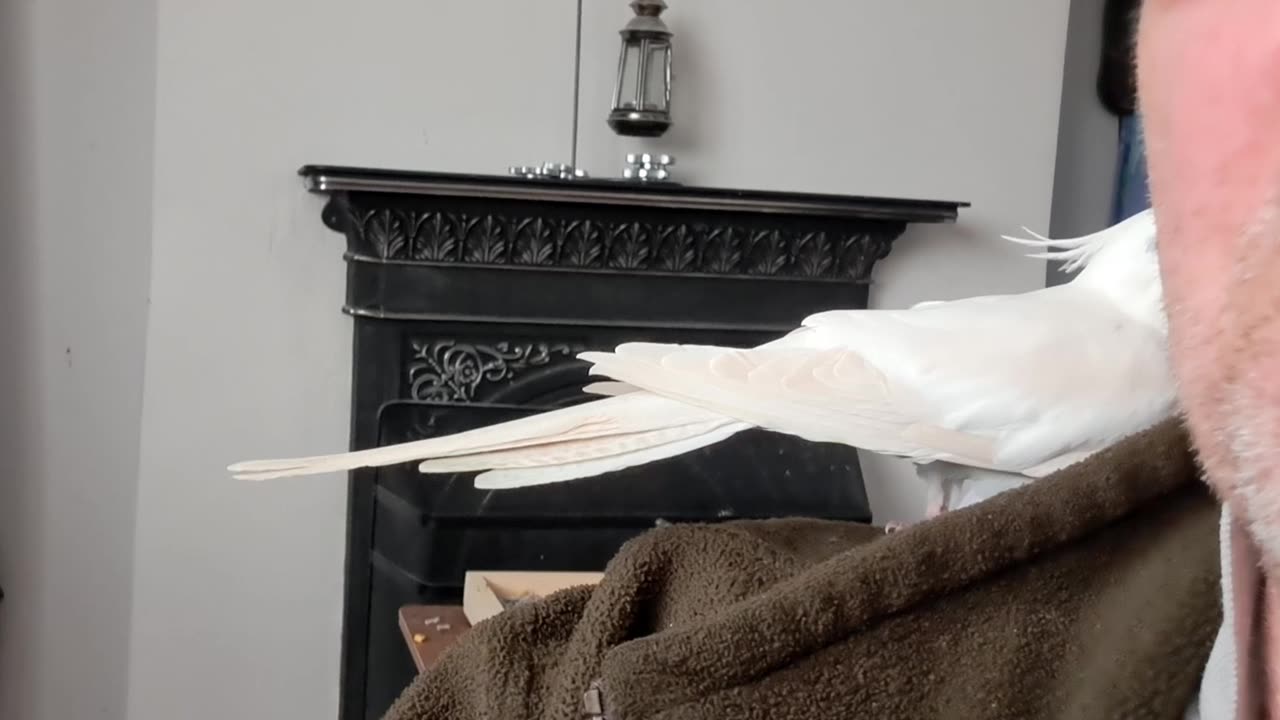 Coco is a little too friendly