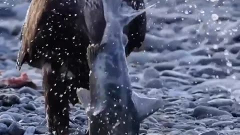 🤯💥 Watch As This Crazy Robot Fights Back! | FeedMyCuriosity