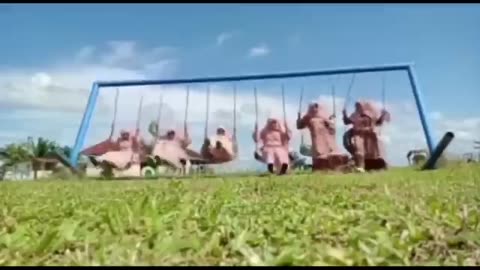 The Most Viral Funny Videos You'll See Today