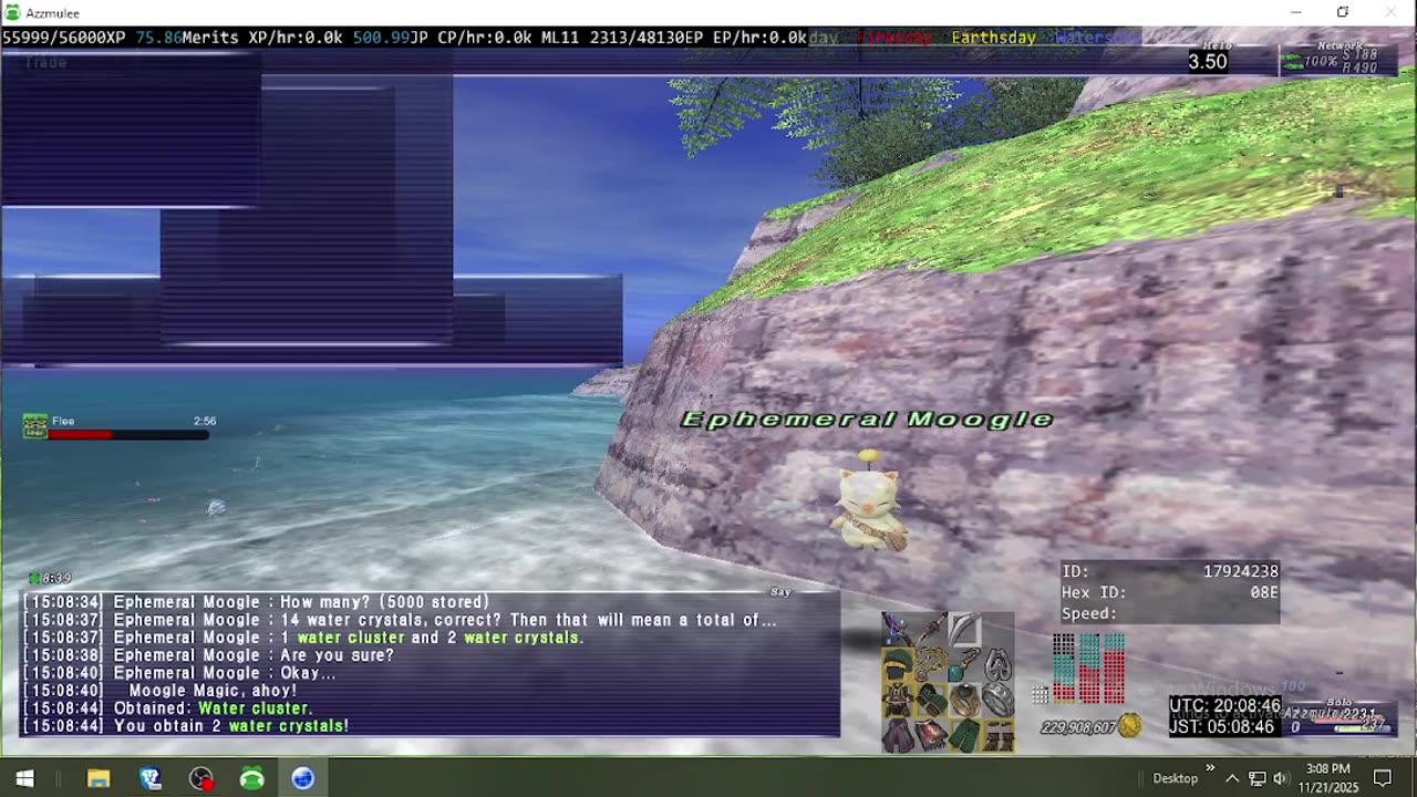 Playing Final Fantasy XI Online