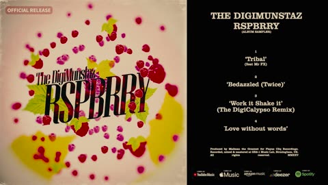 The DigiMunstaz - RspBrry (Album Sampler)