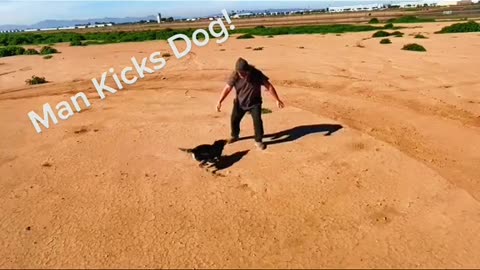 Man kicks dog, Flying bionic Dog