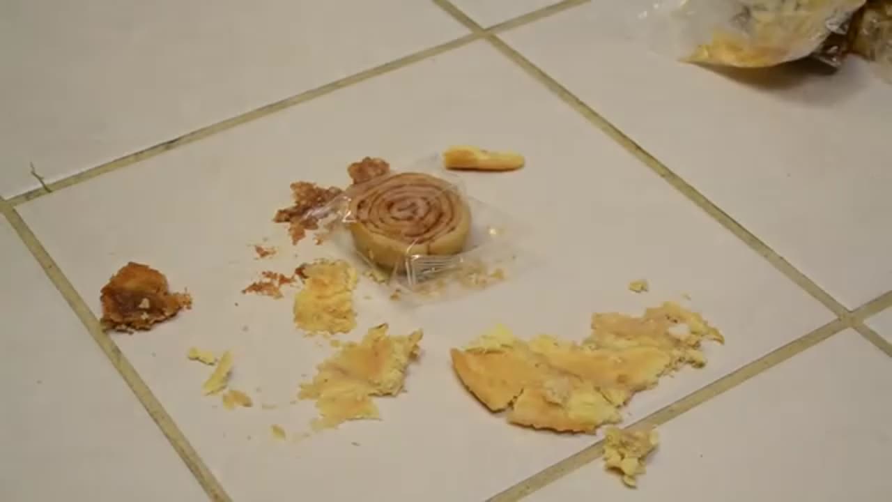 Multi-Girl Food Trample