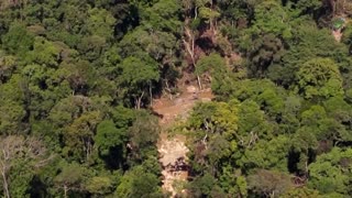 Environmentalists: Indonesia floods worsened by deforestation