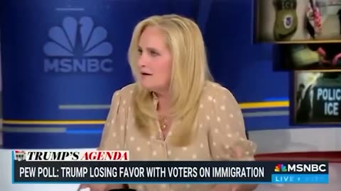MSNBC host says no illegal aliens means no one to clear your plate
