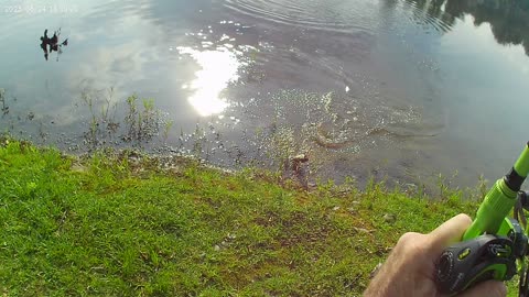 Tried a very red soft plastic worm and on the first cast - BAM, fish on!