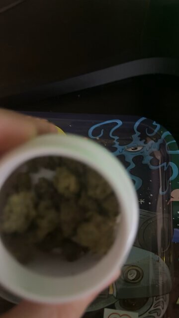 Mint Diesel Medical Marijuana Flower from MUV Dispensary