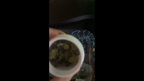 Mint Diesel Medical Marijuana Flower from MUV Dispensary