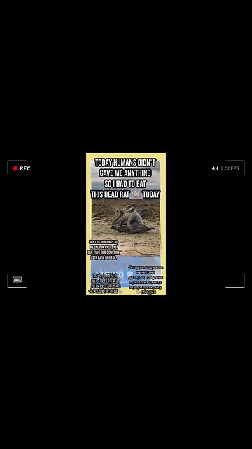 Join me on this heartwarming urban adventure! #Viral #Trending