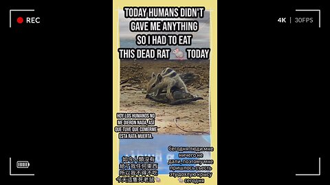 Join me on this heartwarming urban adventure! #Viral #Trending