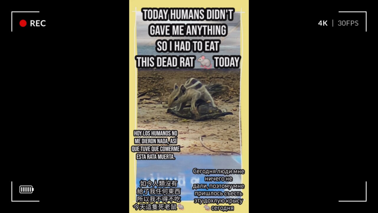 Join me on this heartwarming urban adventure! #Viral #Trending