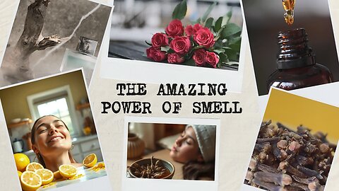 The Amazing Power of Smell | How Your Nose Affects Memory, Mood & Behavior
