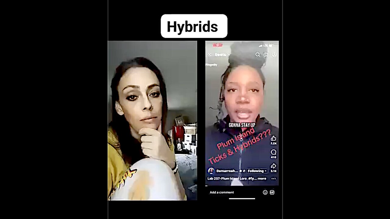 Hybrids and Chimeric Animals from Plum Island?