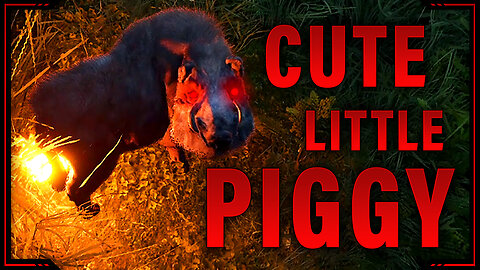 Cute Piggy [Mortal Online 2]