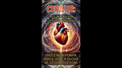 SRDCE NENÍ PUMPA SRDCE DUŠE DUCHA VE VĚDOMÍ SVĚDOMÍ