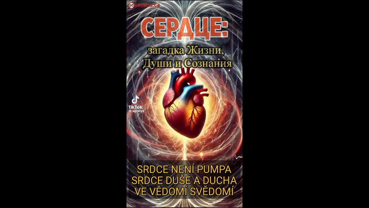 SRDCE NENÍ PUMPA SRDCE DUŠE DUCHA VE VĚDOMÍ SVĚDOMÍ