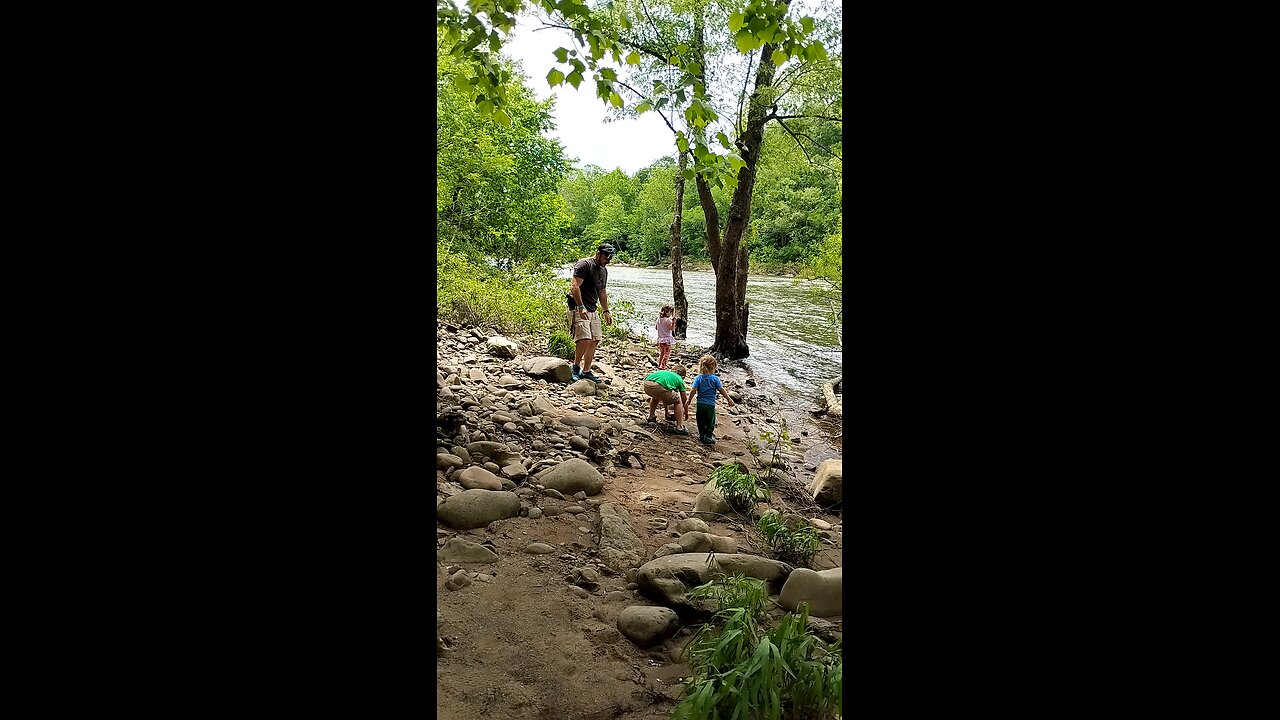 Throwing Rock