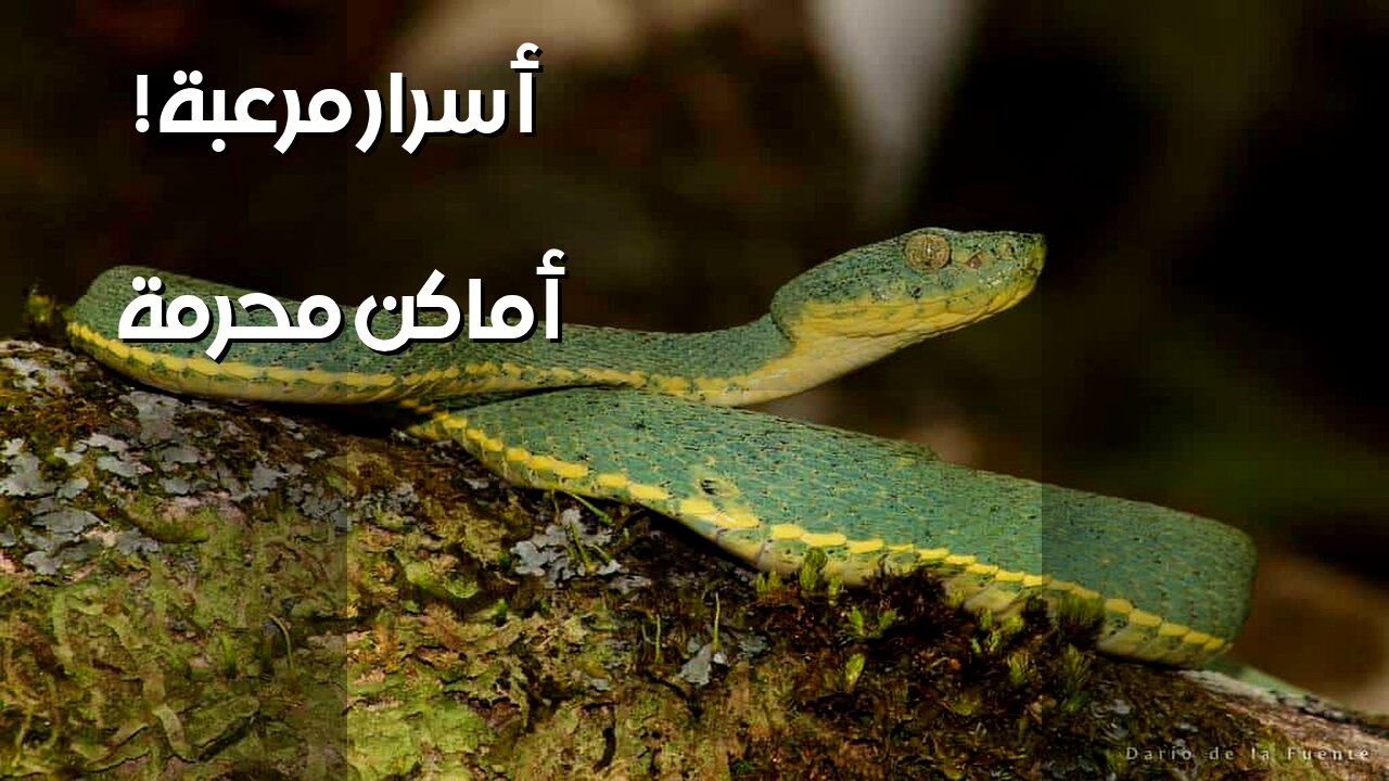 5 أماكن محرمة.. أسرار مرعبة ستصدمك!