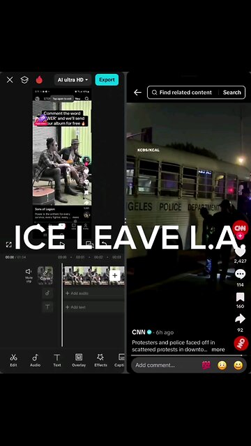 ICE LEAVE LA