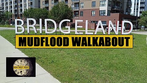 Old BRIDGELAND BRICK #reset #mudflood #oldworld