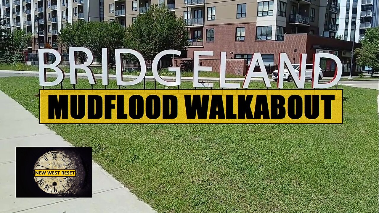 Old BRIDGELAND BRICK #reset #mudflood #oldworld
