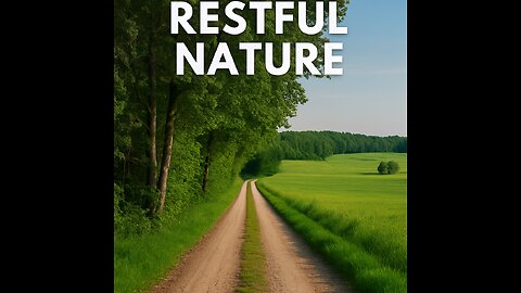 "Forest Road & Grassland Beauty| Relaxing nature scenery"