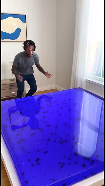 Miggy jumping on Blueberry Jelly Bed